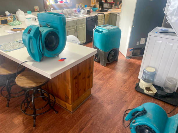 Best Residential water damage restoration  in North Royalton, OH