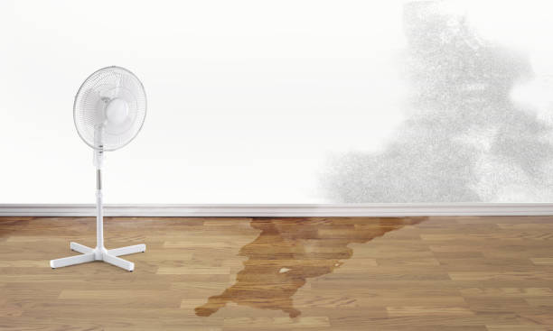 Best Flooded house restoration  in North Royalton, OH