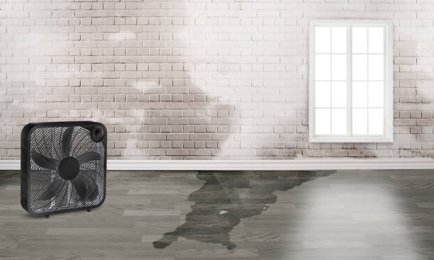Best Ceiling water damage repair  in North Royalton, OH