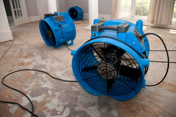 Best Water damage contractors near me  in North Royalton, OH