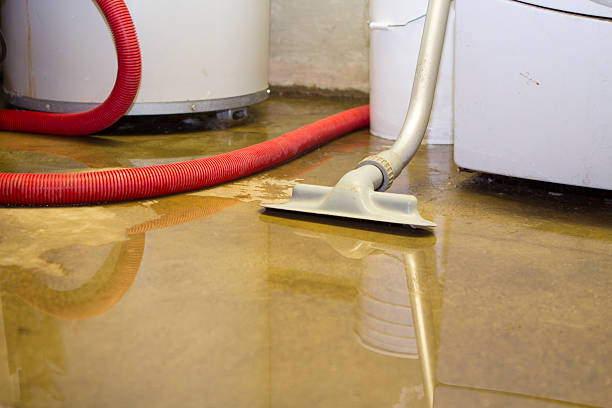 Best Commercial water damage restoration  in North Royalton, OH