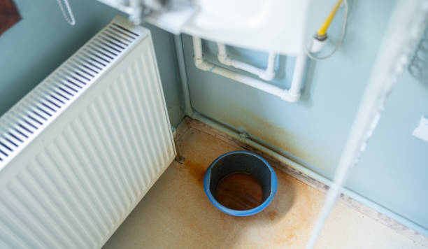 Best Carpet water damage restoration  in North Royalton, OH