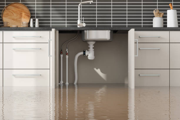 Best Water damage cleanup near me  in North Royalton, OH